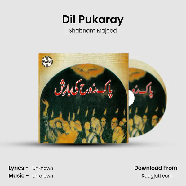 Dil Pukaray - Shabnam Majeed album cover 