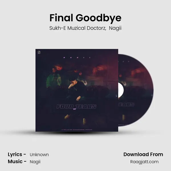 Final Goodbye - Sukh-E Muzical Doctorz album cover 