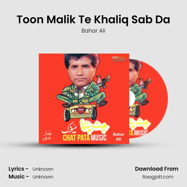 Toon Malik Te Khaliq Sab Da - Bahar Ali album cover 