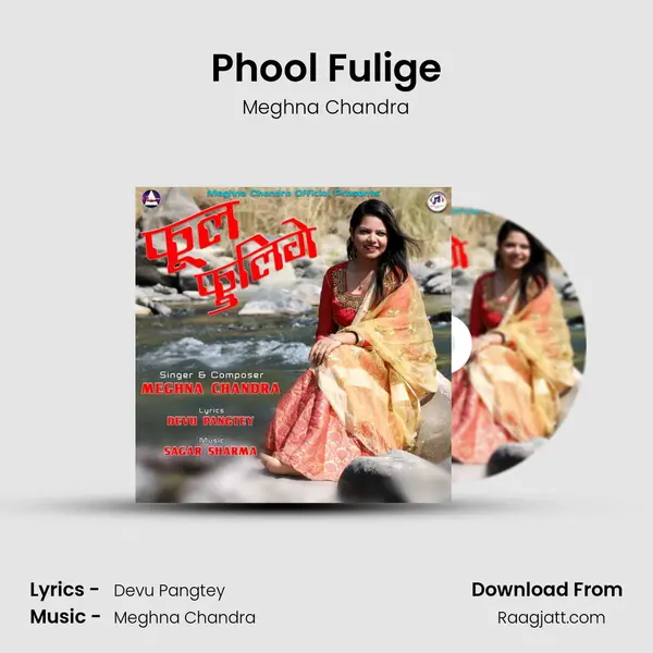 Phool Fulige mp3 song