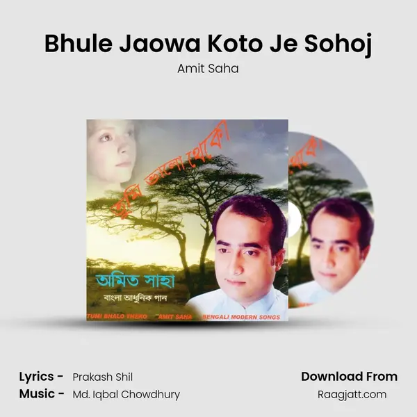 Bhule Jaowa Koto Je Sohoj - Amit Saha album cover 