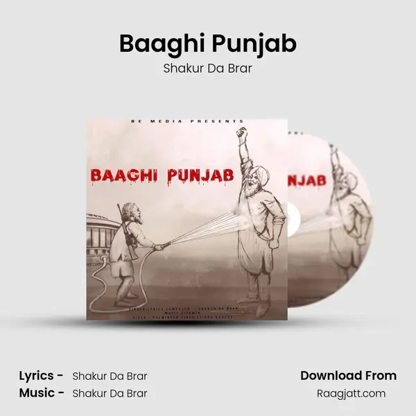 Baaghi Punjab mp3 song