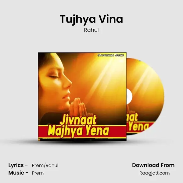 Tujhya Vina mp3 song