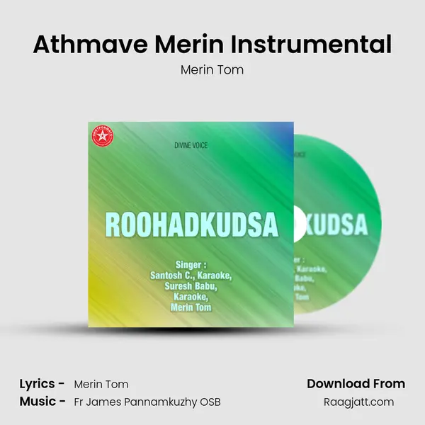 Athmave Merin Instrumental - Merin Tom album cover 