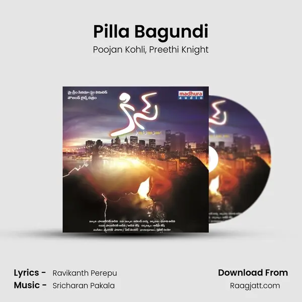 Pilla Bagundi - Poojan Kohli album cover 