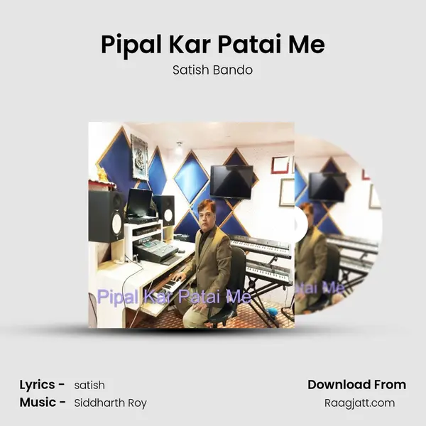 Pipal Kar Patai Me - Satish Bando album cover 