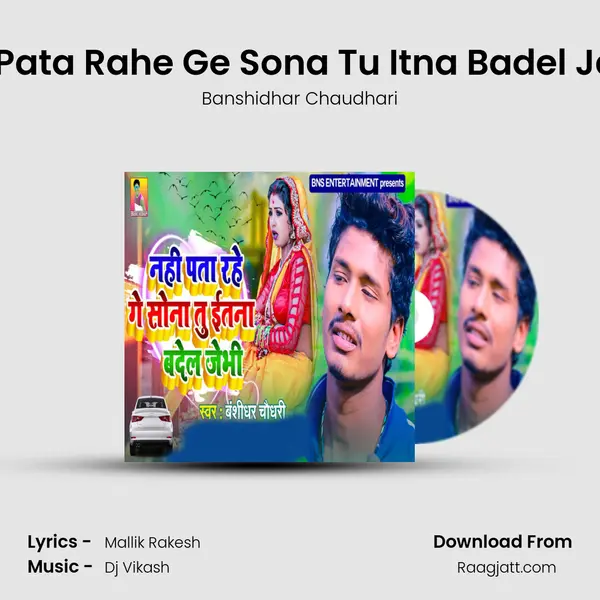 Nahi Pata Rahe Ge Sona Tu Itna Badel Jaebhi - Banshidhar Chaudhari album cover 