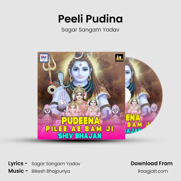 Peeli Pudina - Sagar Sangam Yadav album cover 