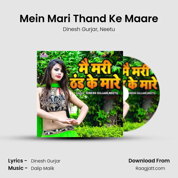 Mein Mari Thand Ke Maare - Dinesh Gurjar album cover 