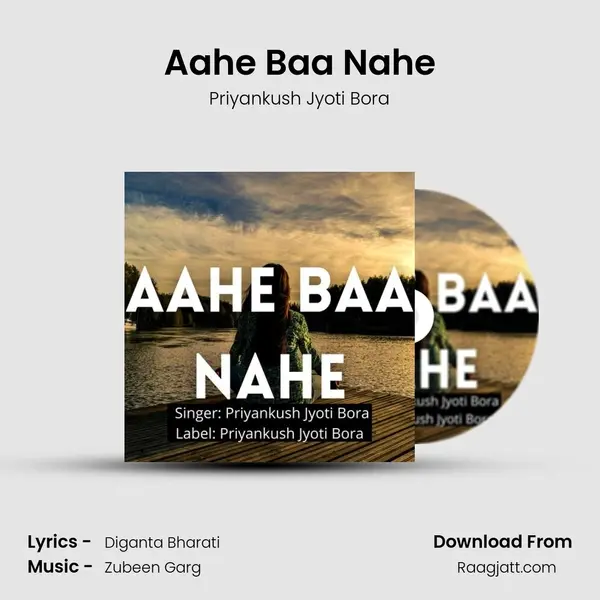 Aahe Baa Nahe - Priyankush Jyoti Bora album cover 