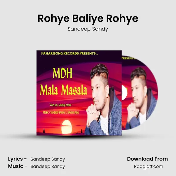 Rohye Baliye Rohye - Sandeep Sandy album cover 