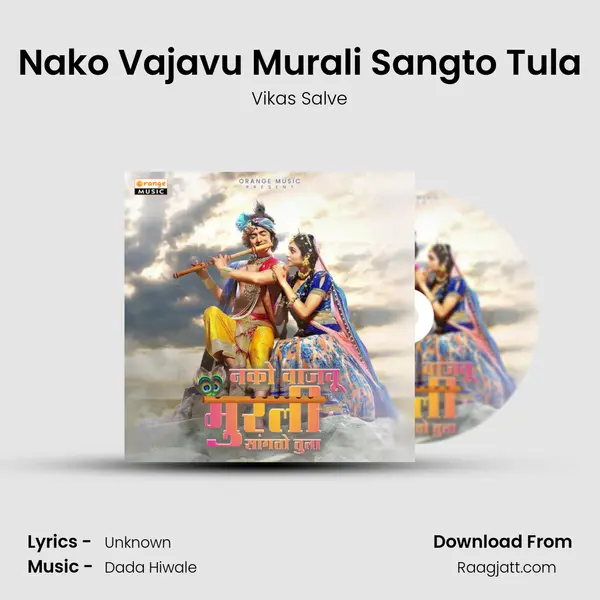 Nako Vajavu Murali Sangto Tula - Vikas Salve album cover 