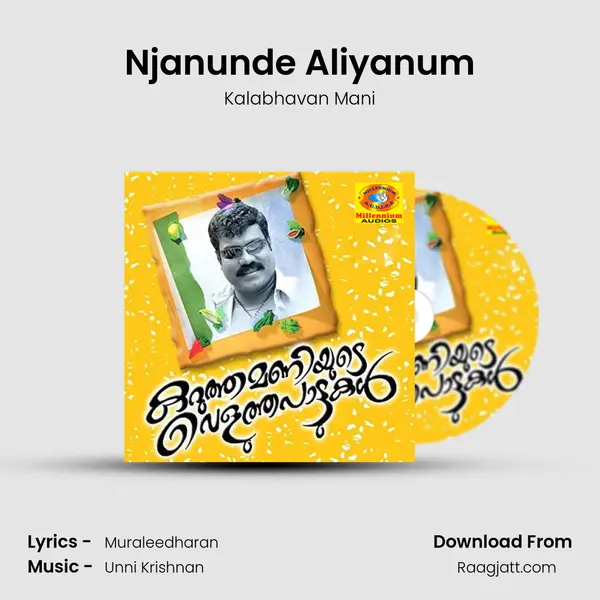 Njanunde Aliyanum mp3 song