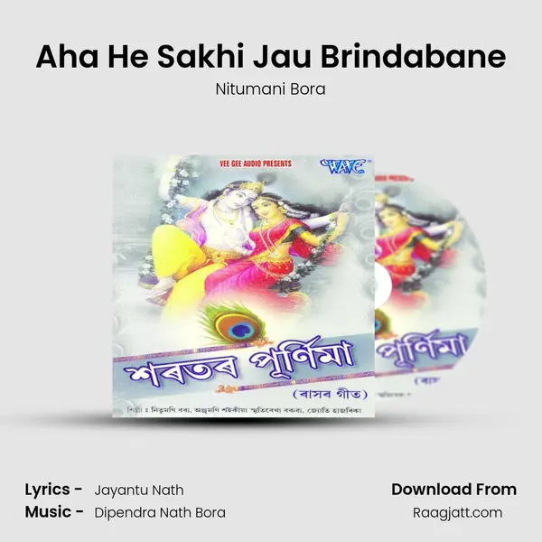 Aha He Sakhi Jau Brindabane mp3 song