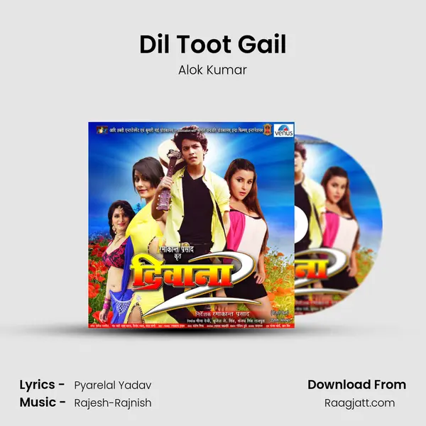 Dil Toot Gail - Alok Kumar album cover 