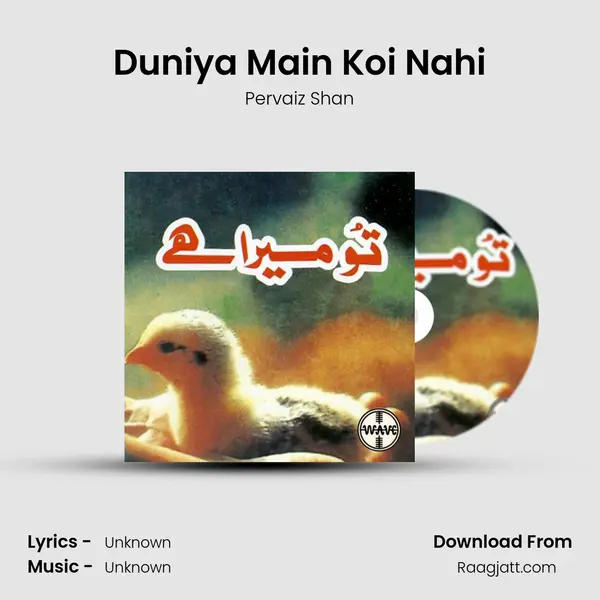 Duniya Main Koi Nahi - Pervaiz Shan album cover 