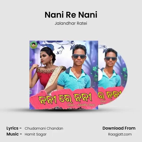 Nani Re Nani mp3 song