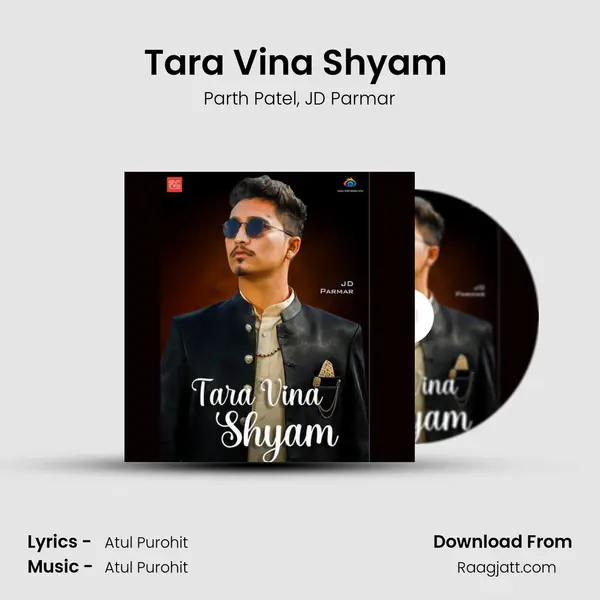 Tara Vina Shyam (Navratri Special ) - Parth Patel album cover 