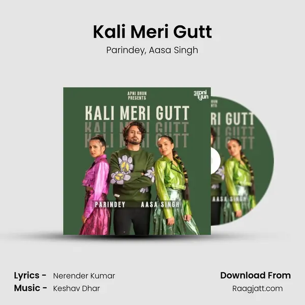 Kali Meri Gutt - Parindey album cover 