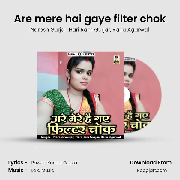 Are mere hai gaye filter chok - Naresh Gurjar album cover 