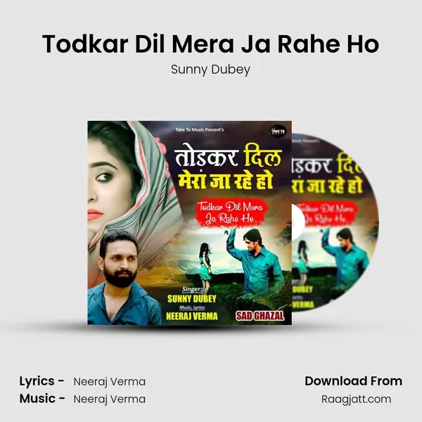 Todkar Dil Mera Ja Rahe Ho - Sunny Dubey mp3 song