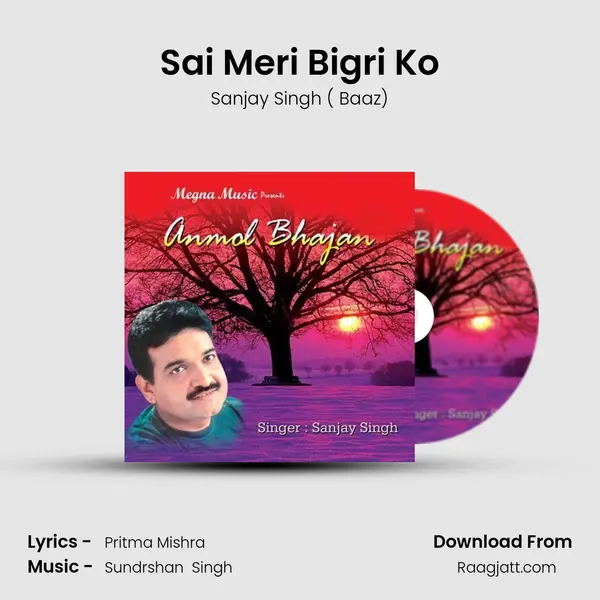 Sai Meri Bigri Ko - Sanjay Singh ( Baaz) album cover 