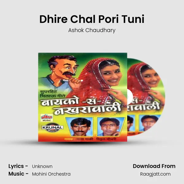 Dhire Chal Pori Tuni - Ashok Chaudhary album cover 