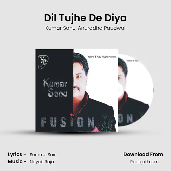 Dil Tujhe De Diya - Kumar Sanu mp3 song