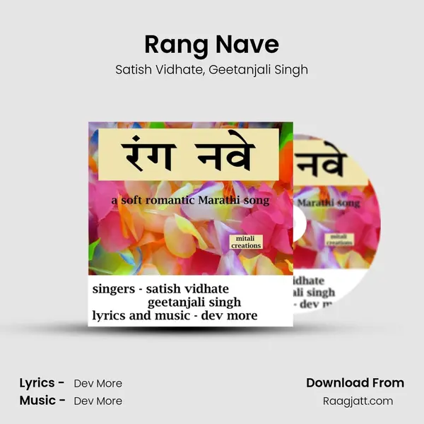 Rang Nave - Satish Vidhate album cover 