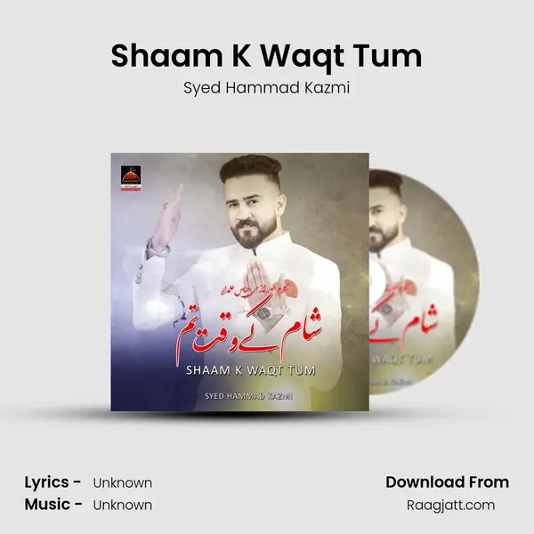 Shaam K Waqt Tum - Syed Hammad Kazmi mp3 song