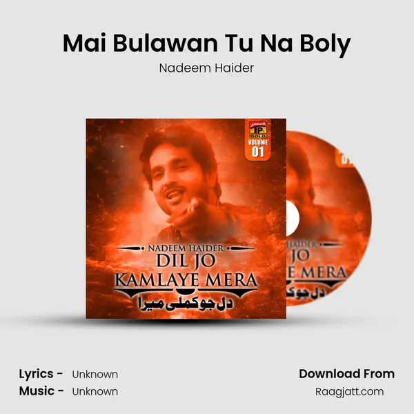 Mai Bulawan Tu Na Boly - Nadeem Haider album cover 