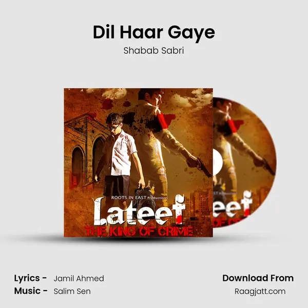 Dil Haar Gaye - Shabab Sabri album cover 