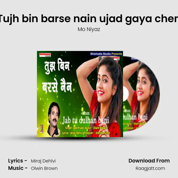 Tujh bin barse nain ujad gaya chen - Mo Niyaz album cover 