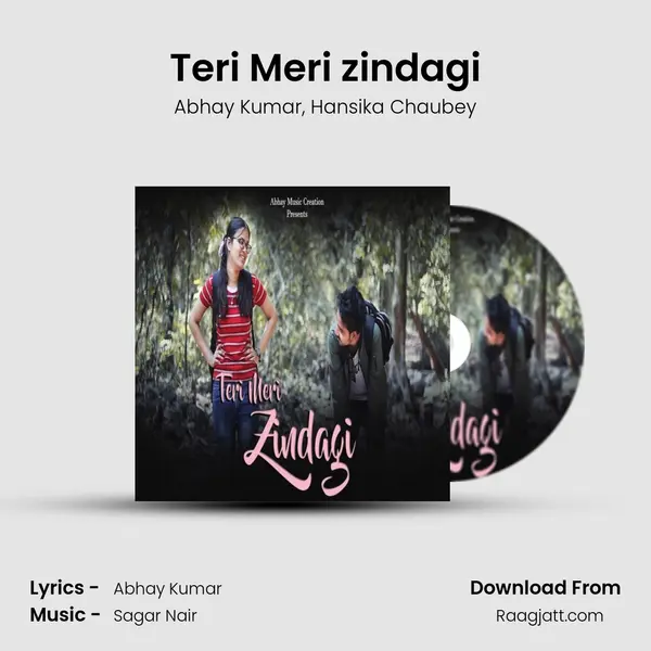 Teri Meri zindagi mp3 song