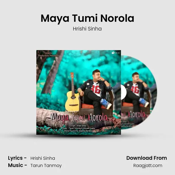 Maya Tumi Norola - Hrishi Sinha album cover 