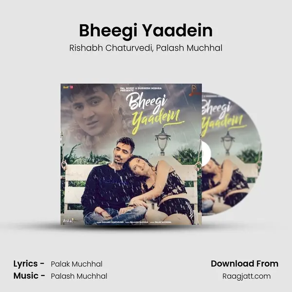 Bheegi Yaadein - Rishabh Chaturvedi album cover 