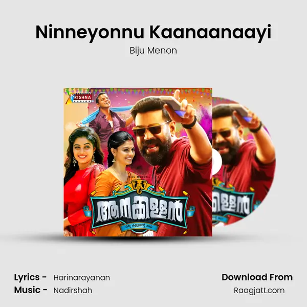 Ninneyonnu Kaanaanaayi mp3 song