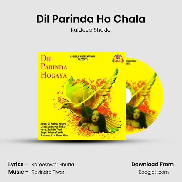 Dil Parinda Ho Chala - Kuldeep Shukla album cover 