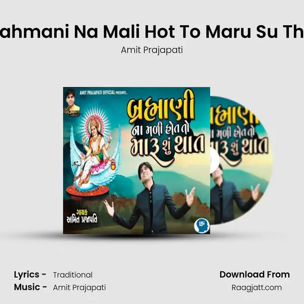 Brahmani Na Mali Hot To Maru Su That - Amit Prajapati album cover 