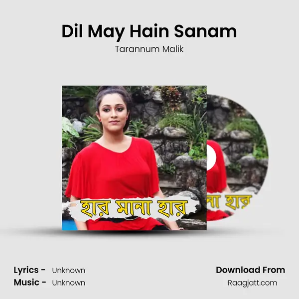 Dil May Hain Sanam - Tarannum Malik album cover 