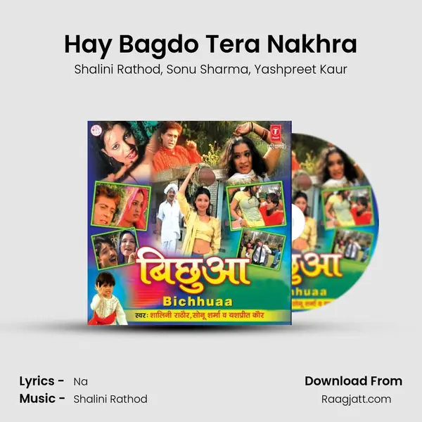 Hay Bagdo Tera Nakhra mp3 song