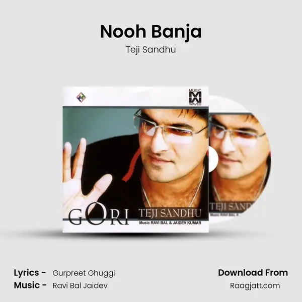 Nooh Banja - Teji Sandhu album cover 