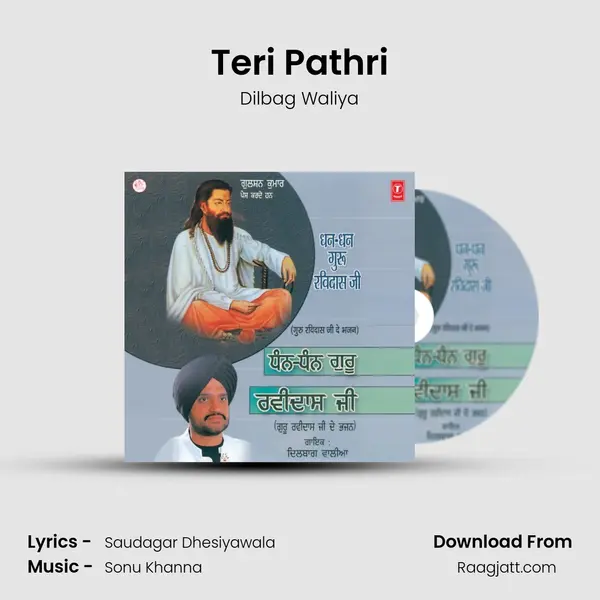 Teri Pathri mp3 song