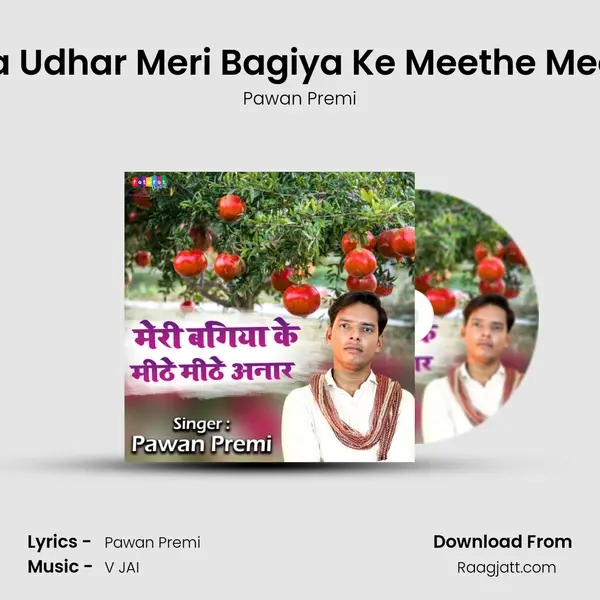 Dhola Leja Udhar Meri Bagiya Ke Meethe Meethe Anar mp3 song