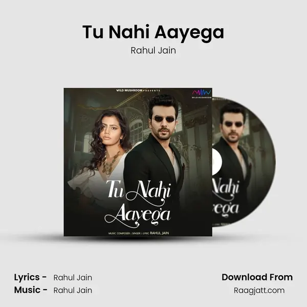 Tu Nahi Aayega mp3 song