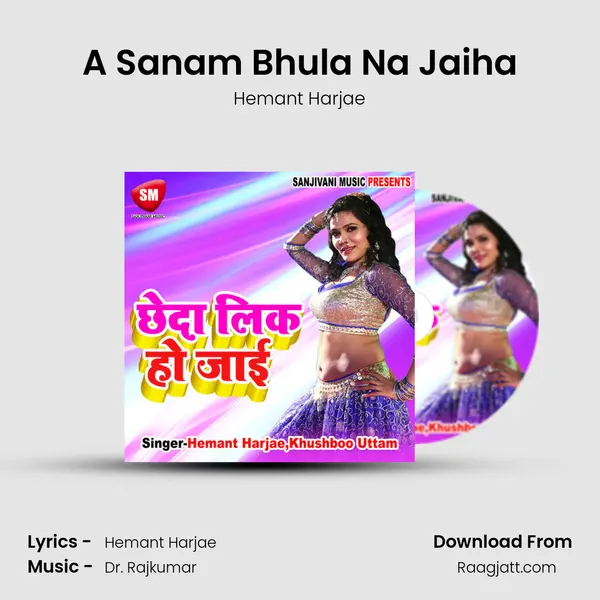 A Sanam Bhula Na Jaiha mp3 song