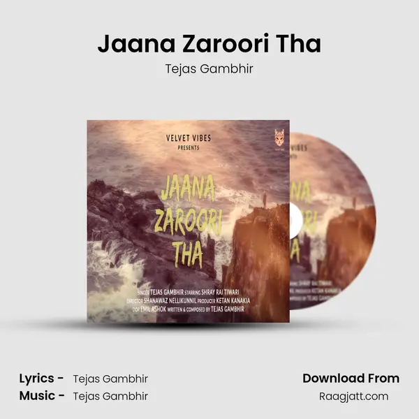 Jaana Zaroori Tha - Tejas Gambhir album cover 