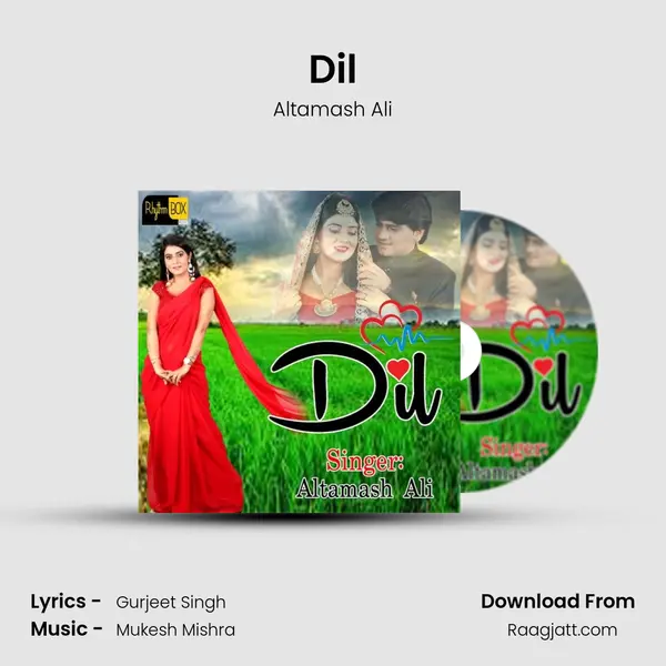 Dil - Altamash Ali album cover 