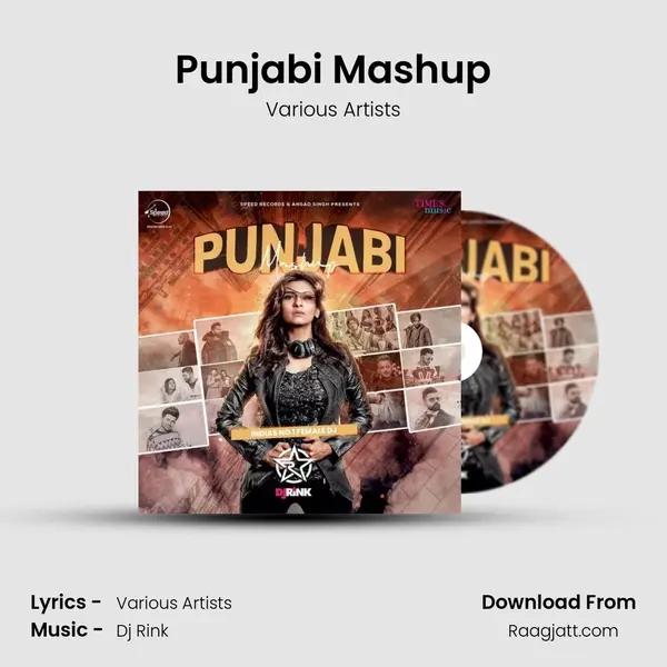 Punjabi Mashup - Various Artists album cover 