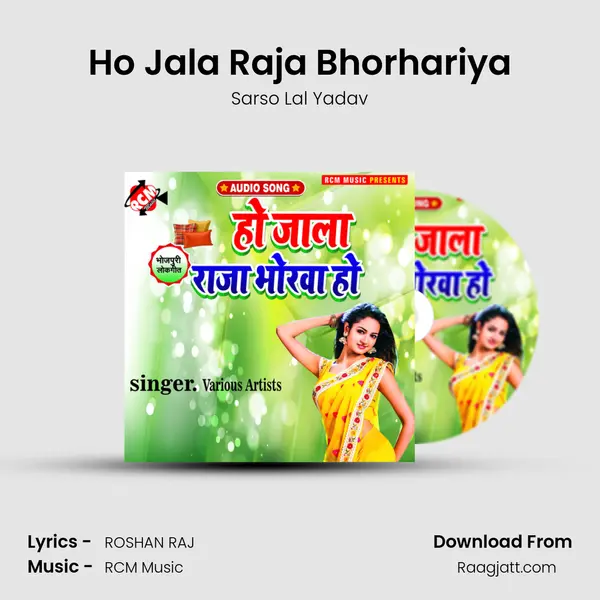 Ho Jala Raja Bhorhariya - Sarso Lal Yadav album cover 